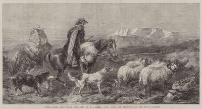 Vermoeide Schapen, Glen Spean, Schotland, uit de Tentoonstelling van de Koninklijke Academie door Richard Ansdell